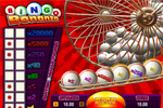 Bingo Bonanza Bingo Bonanza